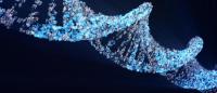 illustration of DNA molecule made with photos of people