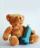 asthma_teddy_bear